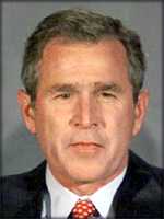 bush.jpg