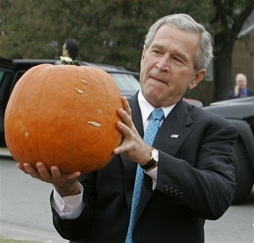 bushpumpkin.jpg