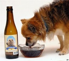 dogbeer.jpg