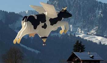 flyingcow.jpg