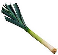 leek.jpg