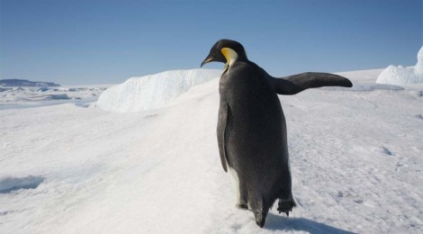 Penguin Sues Elizabeth Wurtzel, Ana Marie Cox, and Other Authors Who Can't Deliver Books