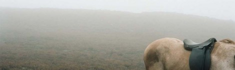 Andrea Arnold (The Bat Segundo Show)