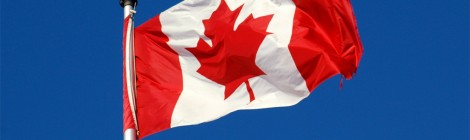 More Bedbug Hysteria in Canadian Libraries